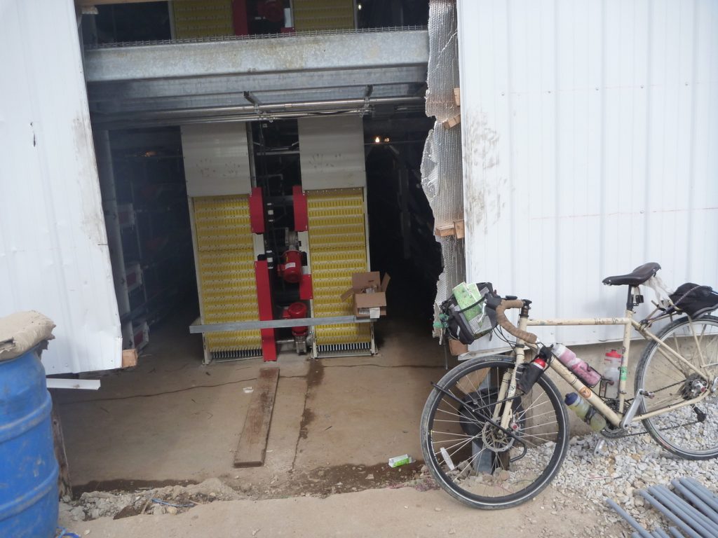 Michael Altfield's bicycle on Rose Acre Farm's Chicken Factory Farm in Indiana, USA